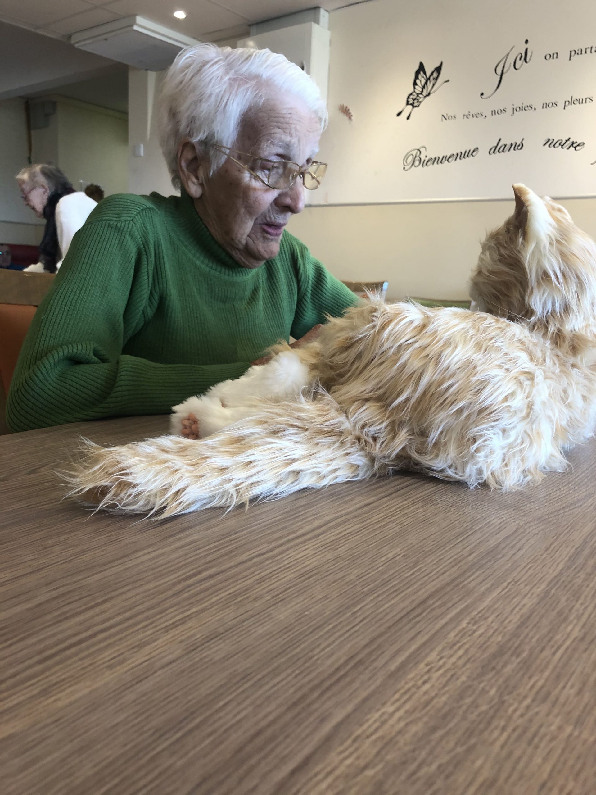 Nouvel arrivant au Château de la Bourgade : le chat sensoriel